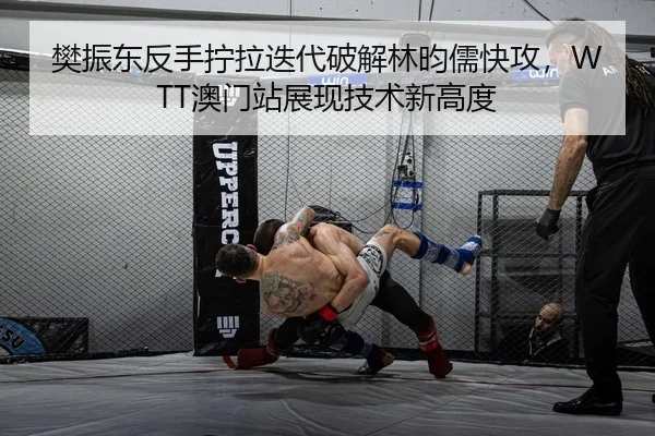 樊振东反手拧拉迭代破解林昀儒快攻，WTT澳门站展现技术新高度